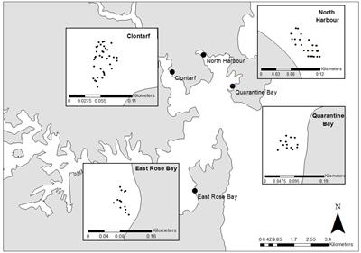 Fine-Scale Effects of Boat Moorings on Soft Sediment Communities Masked in Large-Scale Comparisons